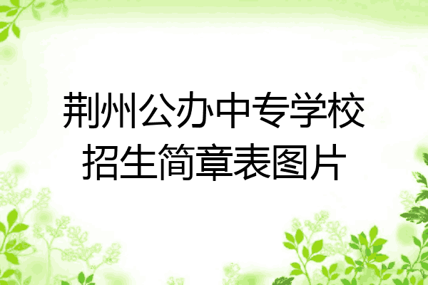 荆州公办中专学校招生简章表图片
