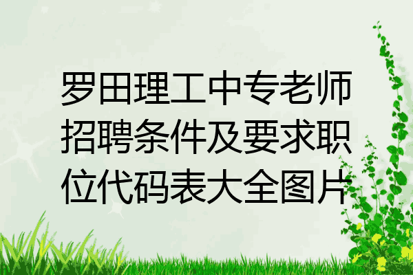 罗田理工中专老师招聘条件及要求职位代码表大全图片