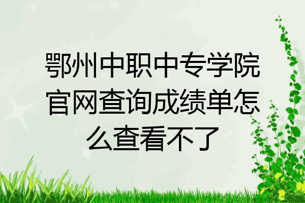 鄂州中职中专学院官网查询成绩单怎么查看不了