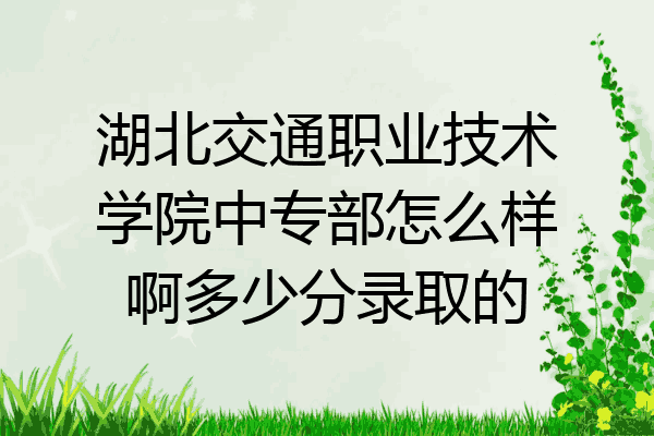 湖北交通职业技术学院中专部怎么样啊多少分录取的