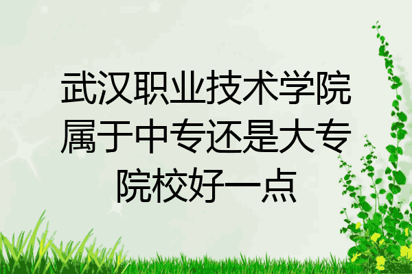 武汉职业技术学院属于中专还是大专院校好一点