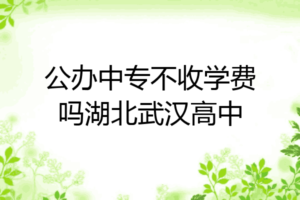 公办中专不收学费吗湖北武汉高中