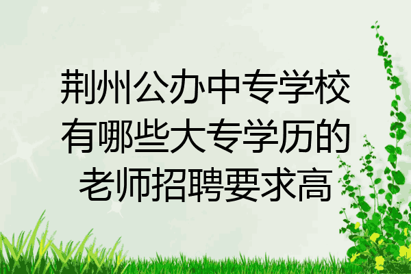 荆州公办中专学校有哪些大专学历的老师招聘要求高