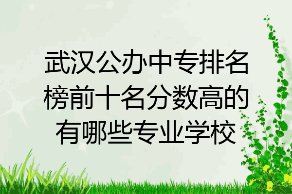 武汉公办中专排名榜前十名分数高的有哪些专业学校
