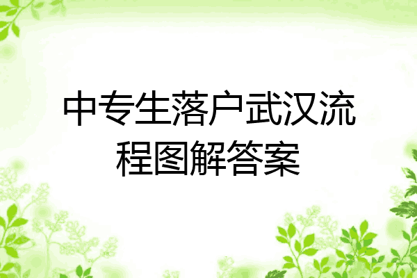 中专生落户武汉流程图解答案
