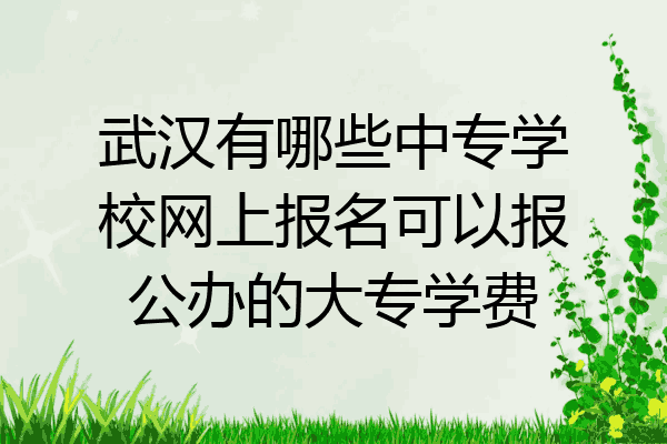 武汉有哪些中专学校网上报名可以报公办的大专学费
