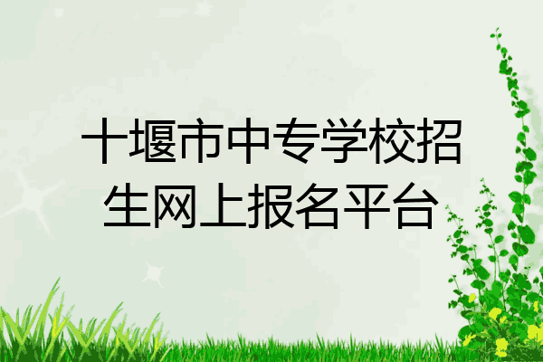 十堰市中专学校招生网上报名平台
