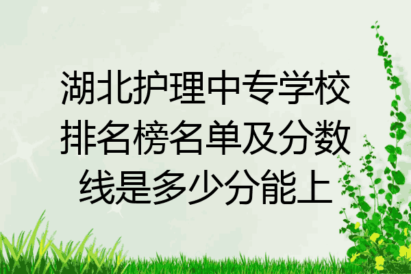 湖北护理中专学校排名榜名单及分数线是多少分能上