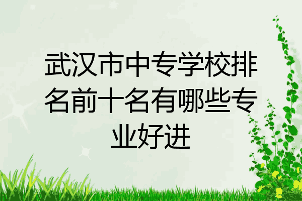 武汉市中专学校排名前十名有哪些专业好进