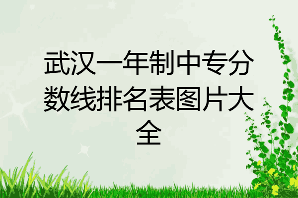 武汉一年制中专分数线排名表图片大全