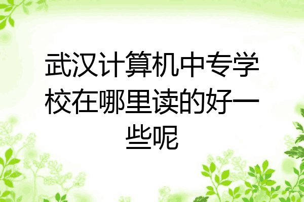 武汉计算机中专学校在哪里读的好一些呢