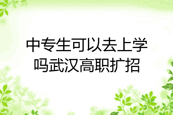 中专生可以去上学吗武汉高职扩招