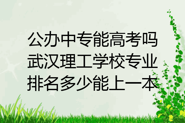 公办中专能高考吗武汉理工学校专业排名多少能上一本