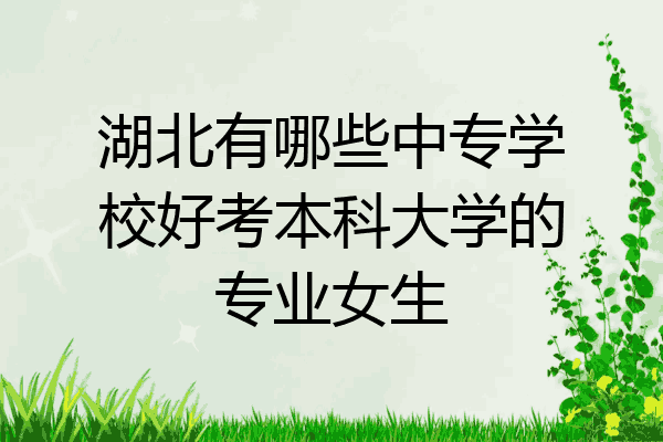 湖北有哪些中专学校好考本科大学的专业女生