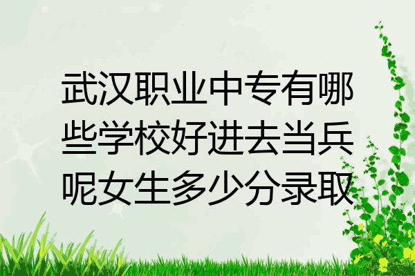 武汉职业中专有哪些学校好进去当兵呢女生多少分录取