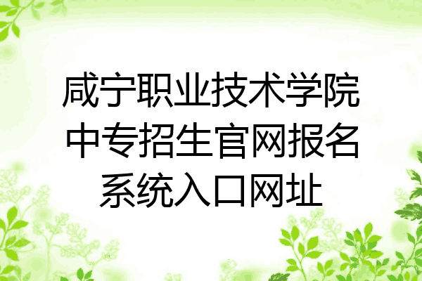 咸宁职业技术学院中专招生官网报名系统入口网址