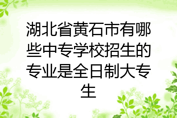 湖北省黄石市有哪些中专学校招生的专业是全日制大专生