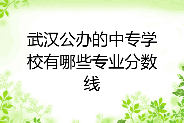武汉公办的中专学校有哪些专业分数线