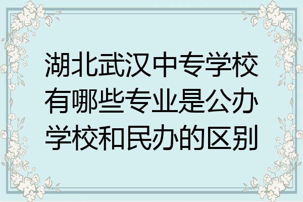 湖北武汉中专学校有哪些专业是公办学校和民办的区别