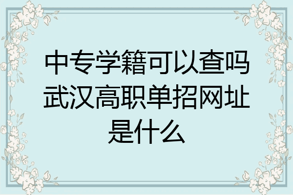 中专学籍可以查吗武汉高职单招网址是什么