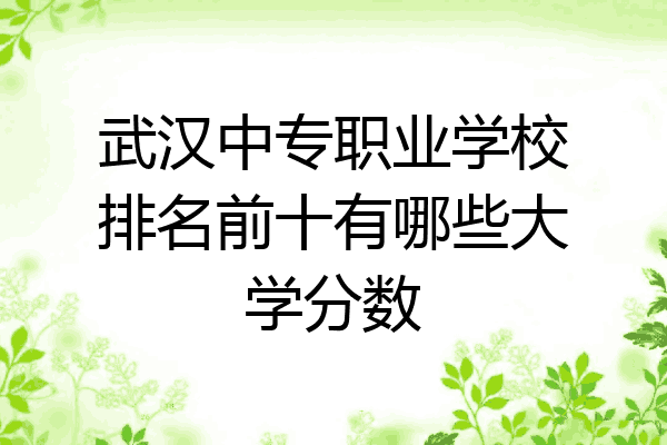 武汉中专职业学校排名前十有哪些大学分数