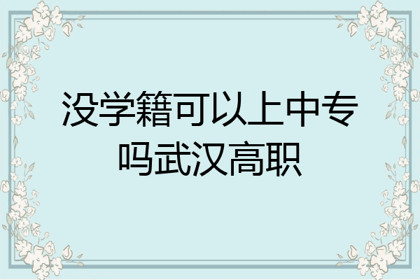 没学籍可以上中专吗武汉高职