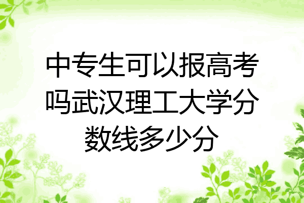 中专生可以报高考吗武汉理工大学分数线多少分