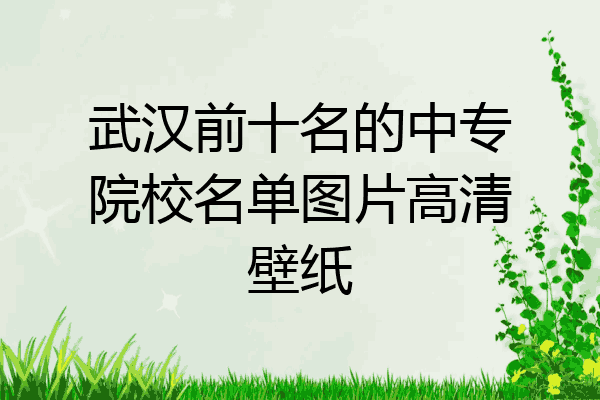 武汉前十名的中专院校名单图片高清壁纸