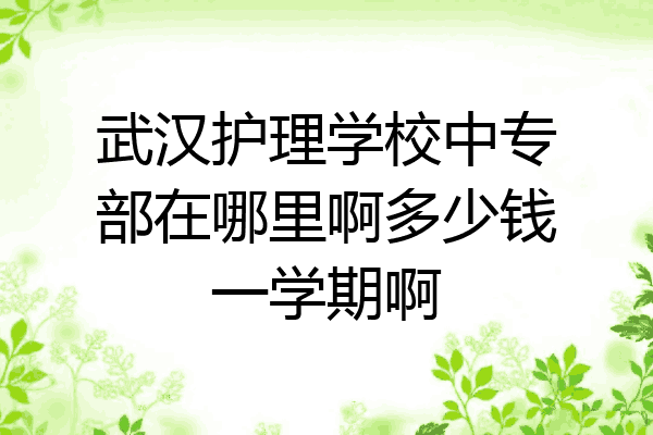 武汉护理学校中专部在哪里啊多少钱一学期啊