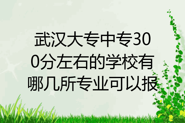 武汉大专中专300分左右的学校有哪几所专业可以报