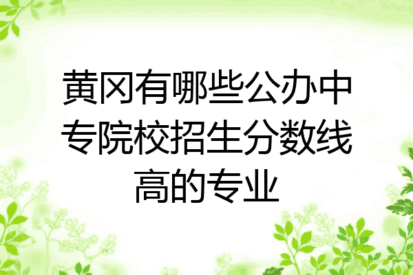 黄冈有哪些公办中专院校招生分数线高的专业