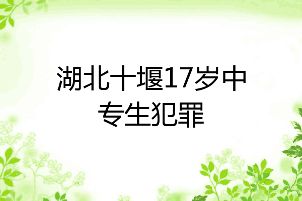 湖北十堰17岁中专生犯罪