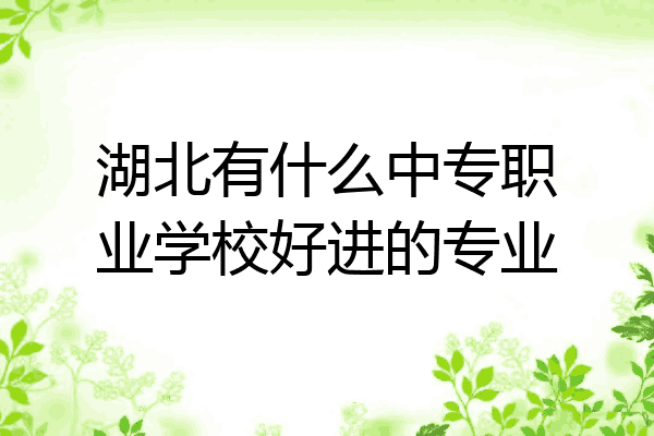 湖北有什么中专职业学校好进的专业