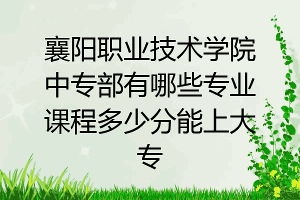 襄阳职业技术学院中专部有哪些专业课程多少分能上大专