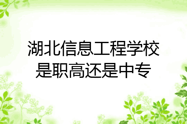 湖北信息工程学校是职高还是中专