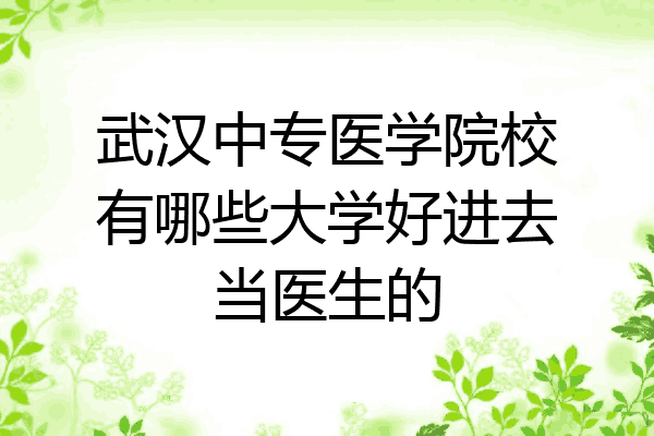 武汉中专医学院校有哪些大学好进去当医生的