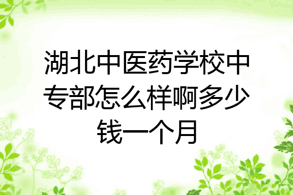 湖北中医药学校中专部怎么样啊多少钱一个月