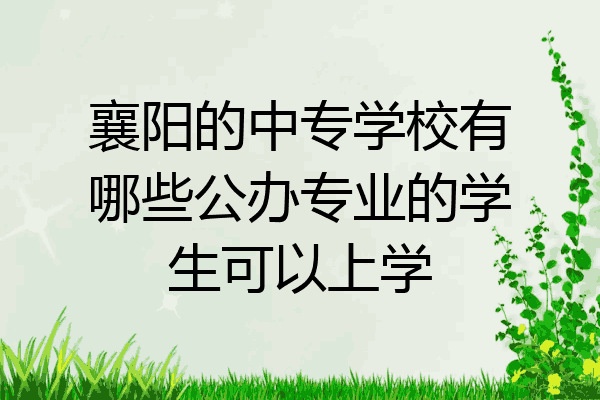襄阳的中专学校有哪些公办专业的学生可以上学