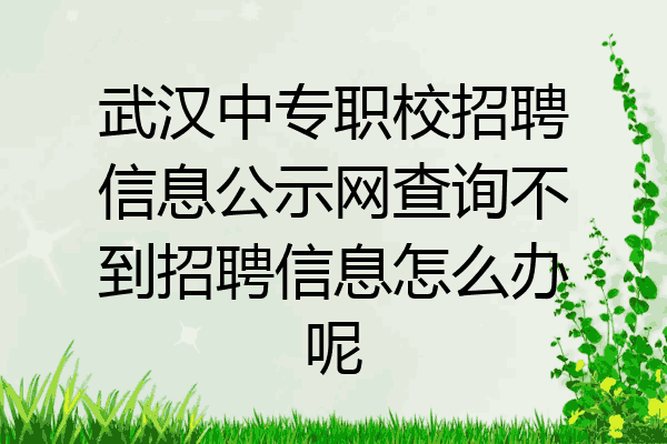 武汉中专职校招聘信息公示网查询不到招聘信息怎么办呢