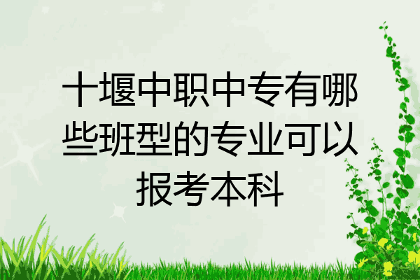 十堰中职中专有哪些班型的专业可以报考本科