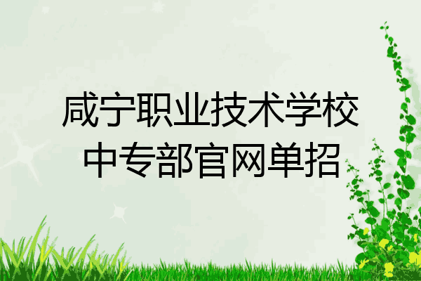 咸宁职业技术学校中专部官网单招
