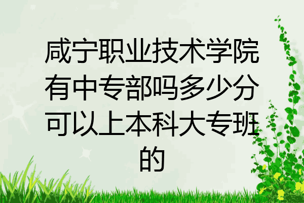 咸宁职业技术学院有中专部吗多少分可以上本科大专班的