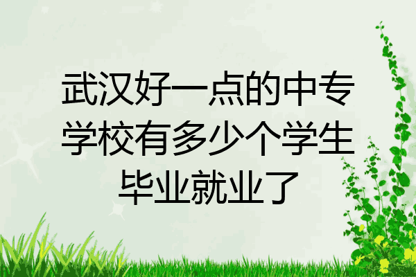 武汉好一点的中专学校有多少个学生毕业就业了