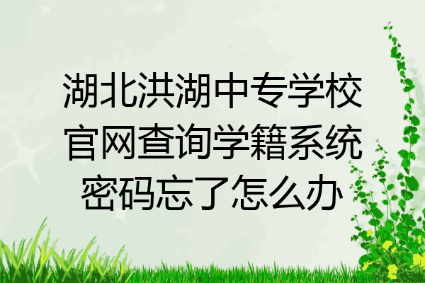 湖北洪湖中专学校官网查询学籍系统密码忘了怎么办
