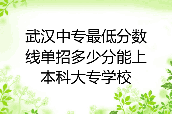 武汉中专最低分数线单招多少分能上本科大专学校