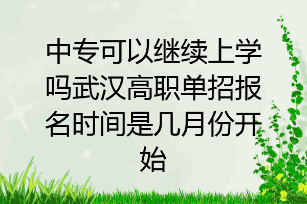 中专可以继续上学吗武汉高职单招报名时间是几月份开始
