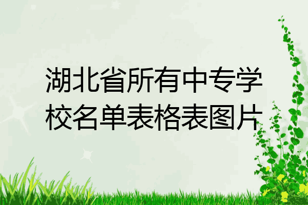 湖北省所有中专学校名单表格表图片