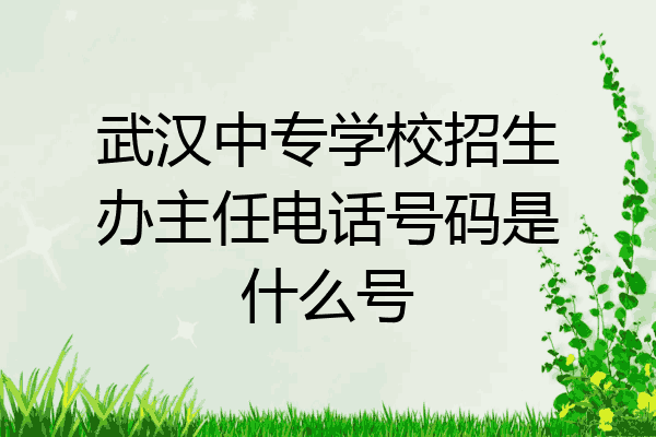 武汉中专学校招生办主任电话号码是什么号