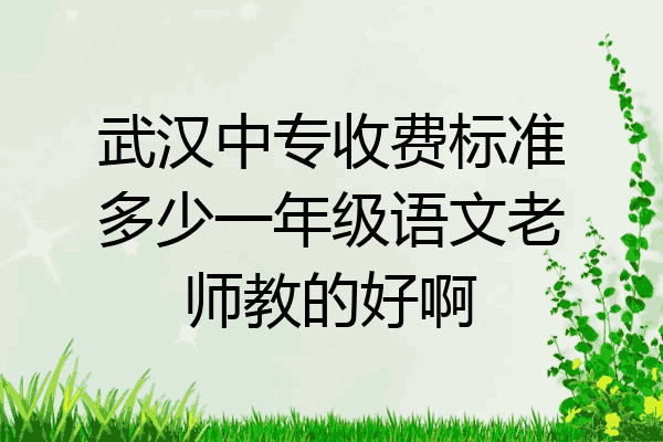 武汉中专收费标准多少一年级语文老师教的好啊