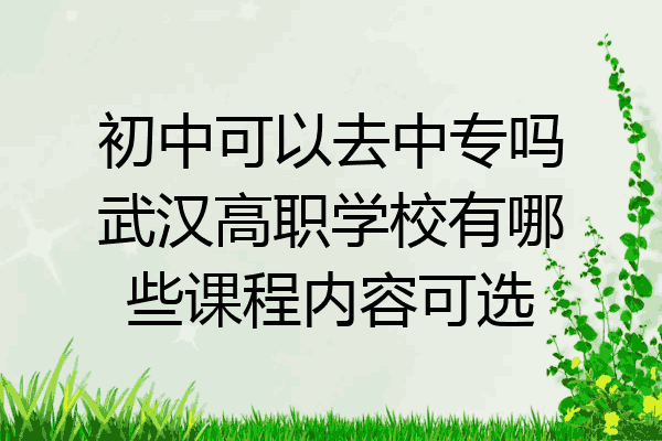 初中可以去中专吗武汉高职学校有哪些课程内容可选